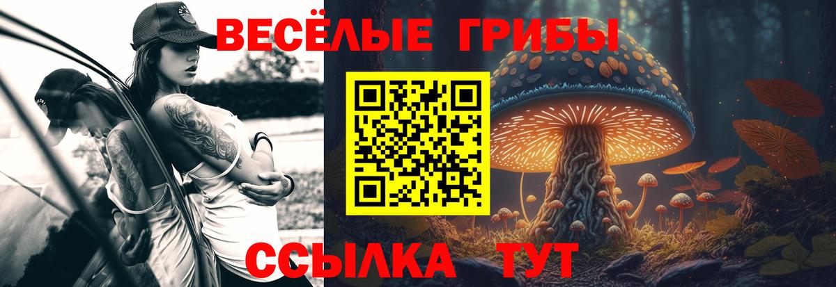 Галлюциногенные грибы Cubensis  Вход с VPN  Галлюциногенные грибы мухоморы  Бугуруслан 